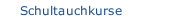 Schultauchkurse
