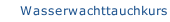 Wasserwachttauchkurs