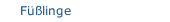 Füßlinge